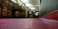 View inside a brewery with the new MC-Dur PowerCoat industrial flooring